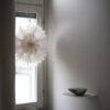Lotus Julestjerne White 60 cm