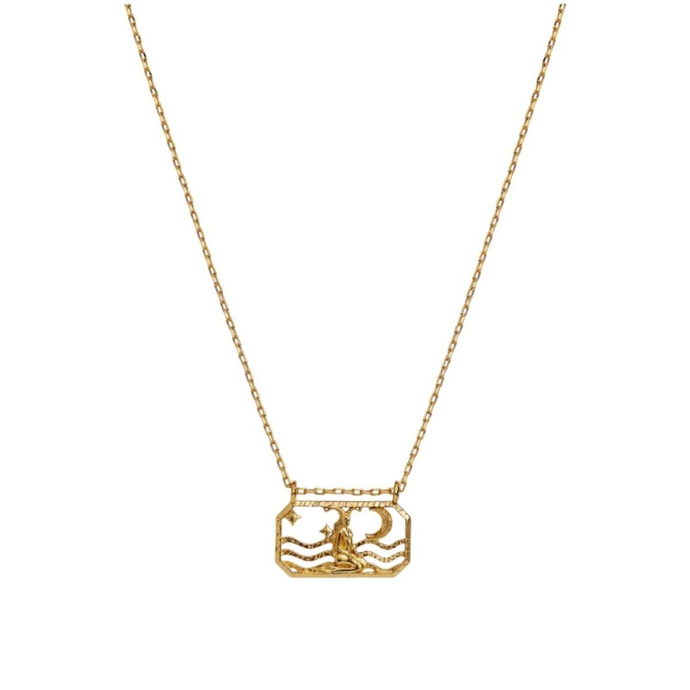 Zodiac Capricorn Necklace (Stenbukken)