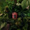 Small Jar Candle 50 t Foraged Wildberry