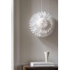 Lotus Julestjerne White 60 cm - Bilde 3