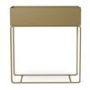 Plant Box Olive
