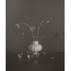 Ballon vase 02 Opal White - Bilde 2