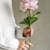 Peon stilk rosa H66 cm