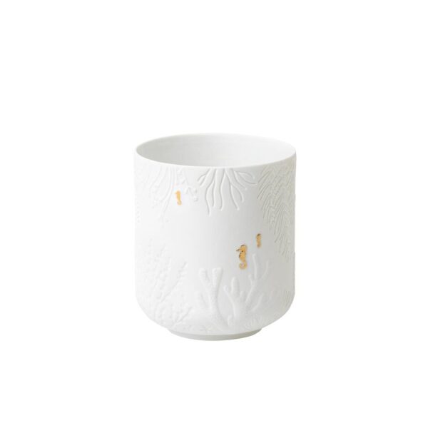 Lantern seahorse - Bilde 2