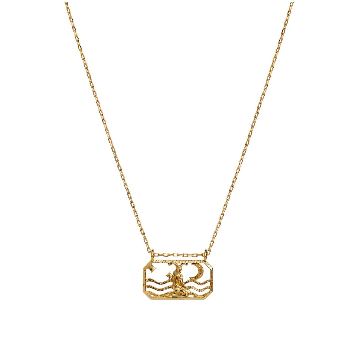 Zodiac Capricorn Necklace (Stenbukken)