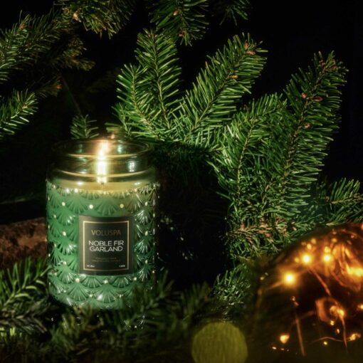 Large Glass Jar w / glass lid - Noble Fir