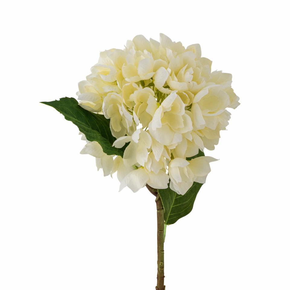 Hydrangea Stilk Hvit
