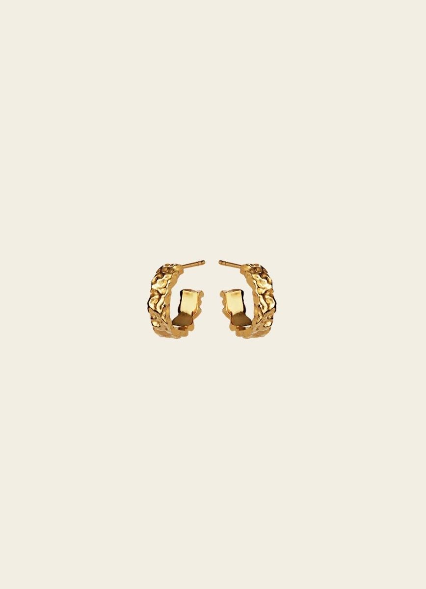 Aio Petite Earrings