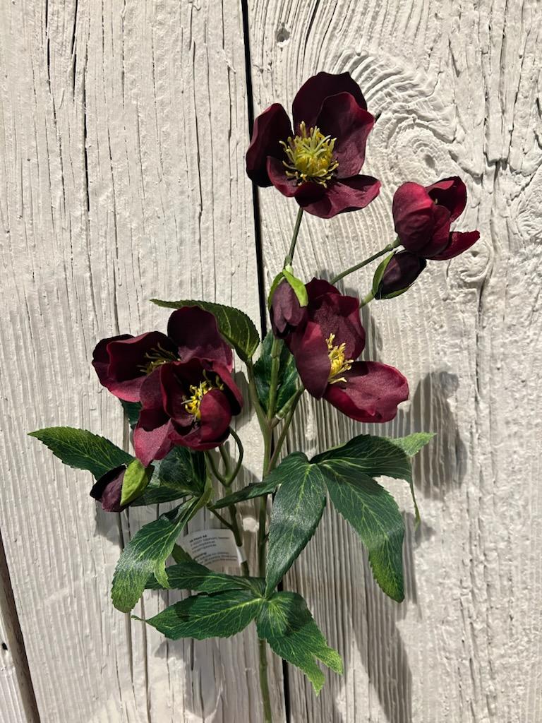 Blomst - Julerose H57cm Burgunder