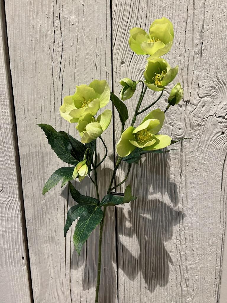 Blomst - Julerose H57cm Hvit