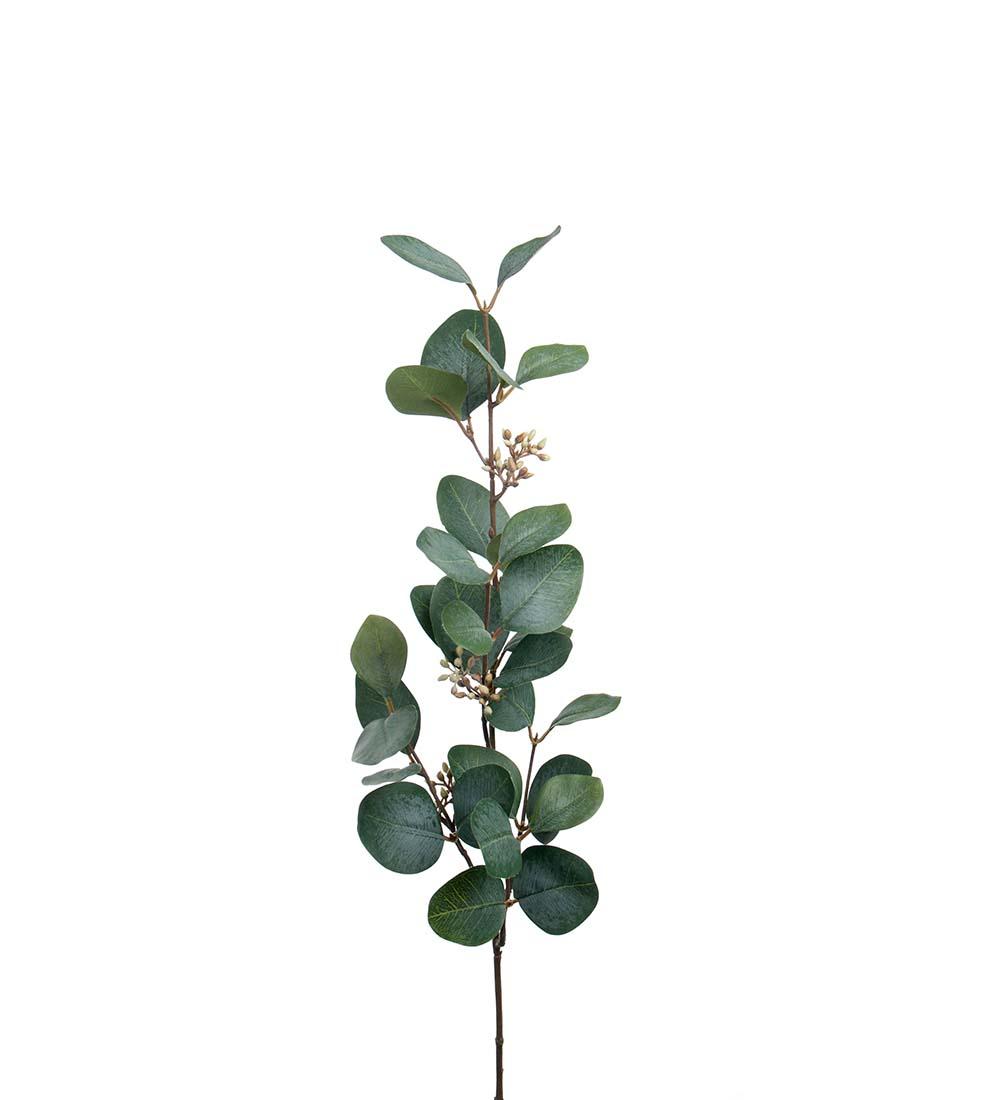 Gren - Eucalyptus med bær H70cm