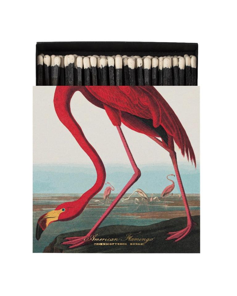 Fyrstikker - American Flamingo