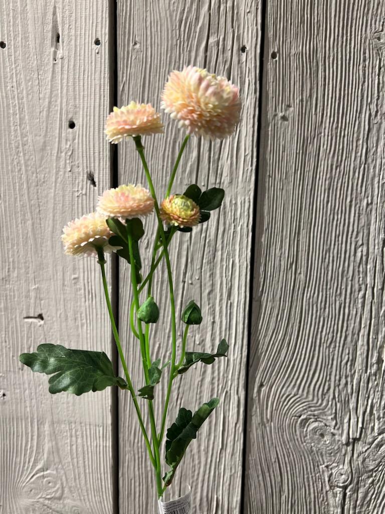 Chrysanthemum Lys rosa - 60 cm