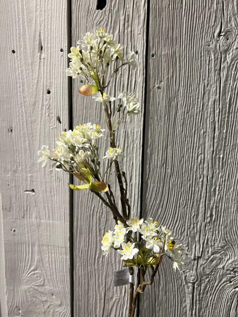 Lønneblomst Hvit 70 Cm