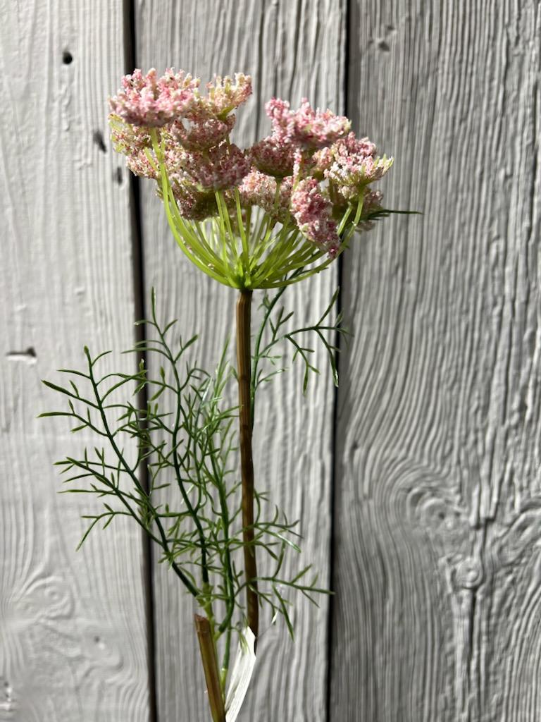 Vildermorot Rosa 65 cm