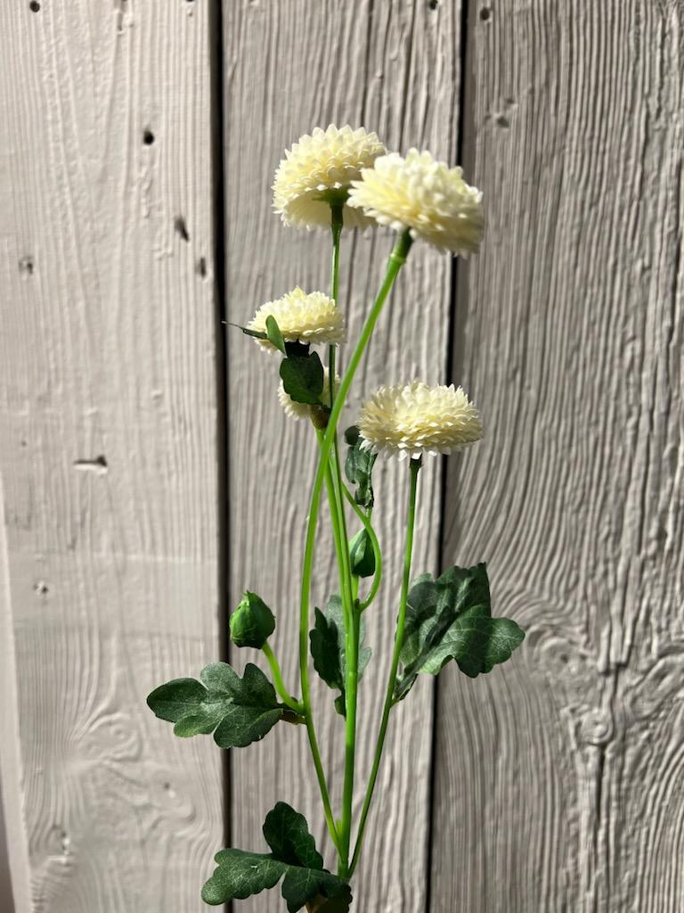 Chrysanthemum Hvit - 60 cm