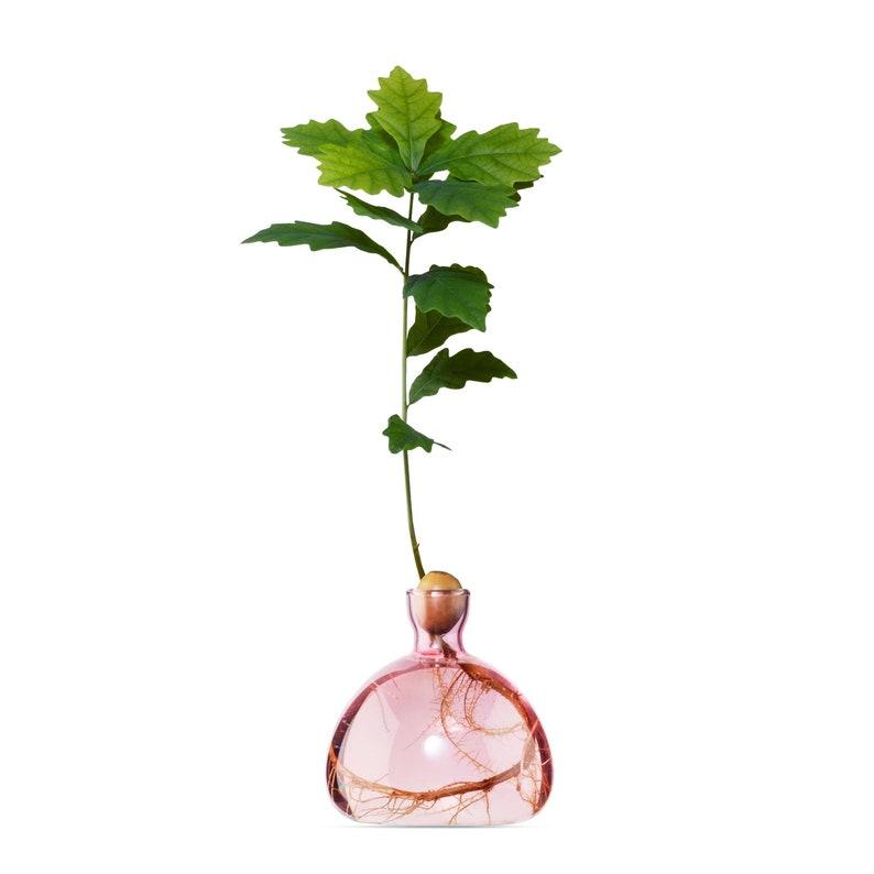 Acorn Vase Rose Pink