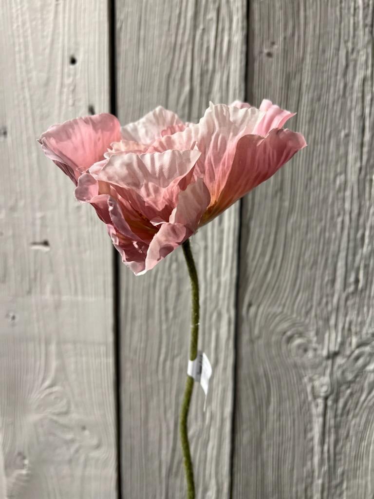 Stilk - Valmue Rosa 75 cm