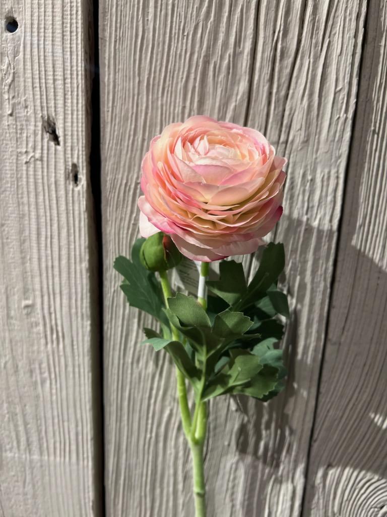 Ranuncel Lys rosa 50cm