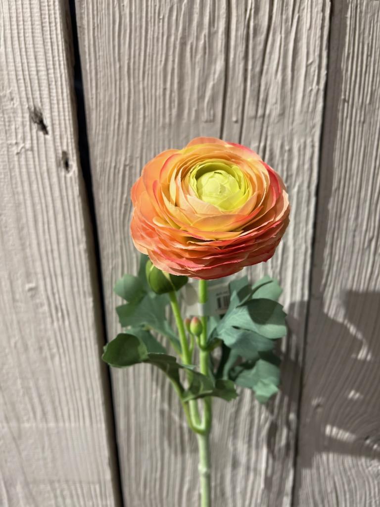 Ranuncel Orange 50cm