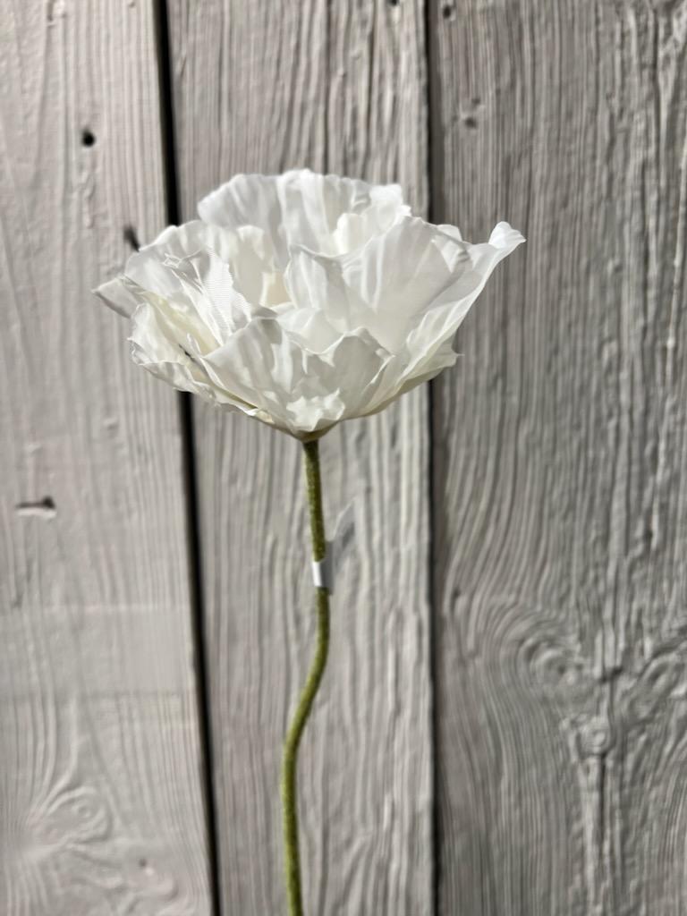 Stilk - Valmue Hvit 75 cm