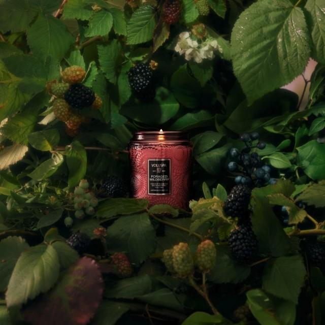 Small Jar Candle 50 t Foraged Wildberry