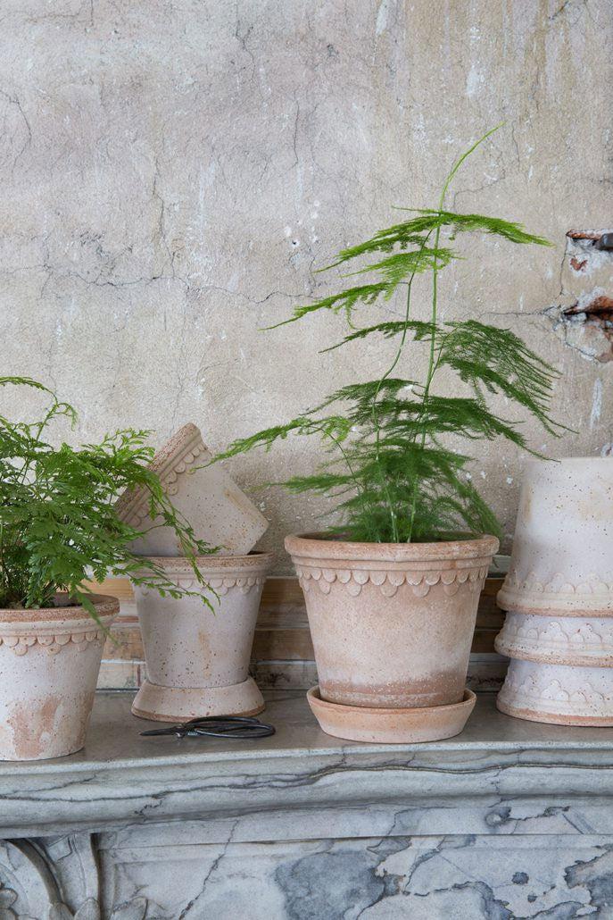 Potte - Københavner m/skål Rose 35 cm