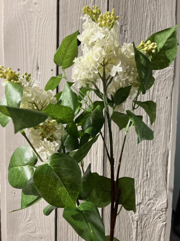 Syrin Hortensia Hvit 100 cm