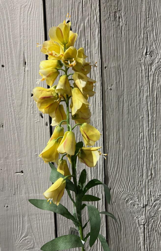 Fritillaria Gul 88 cm
