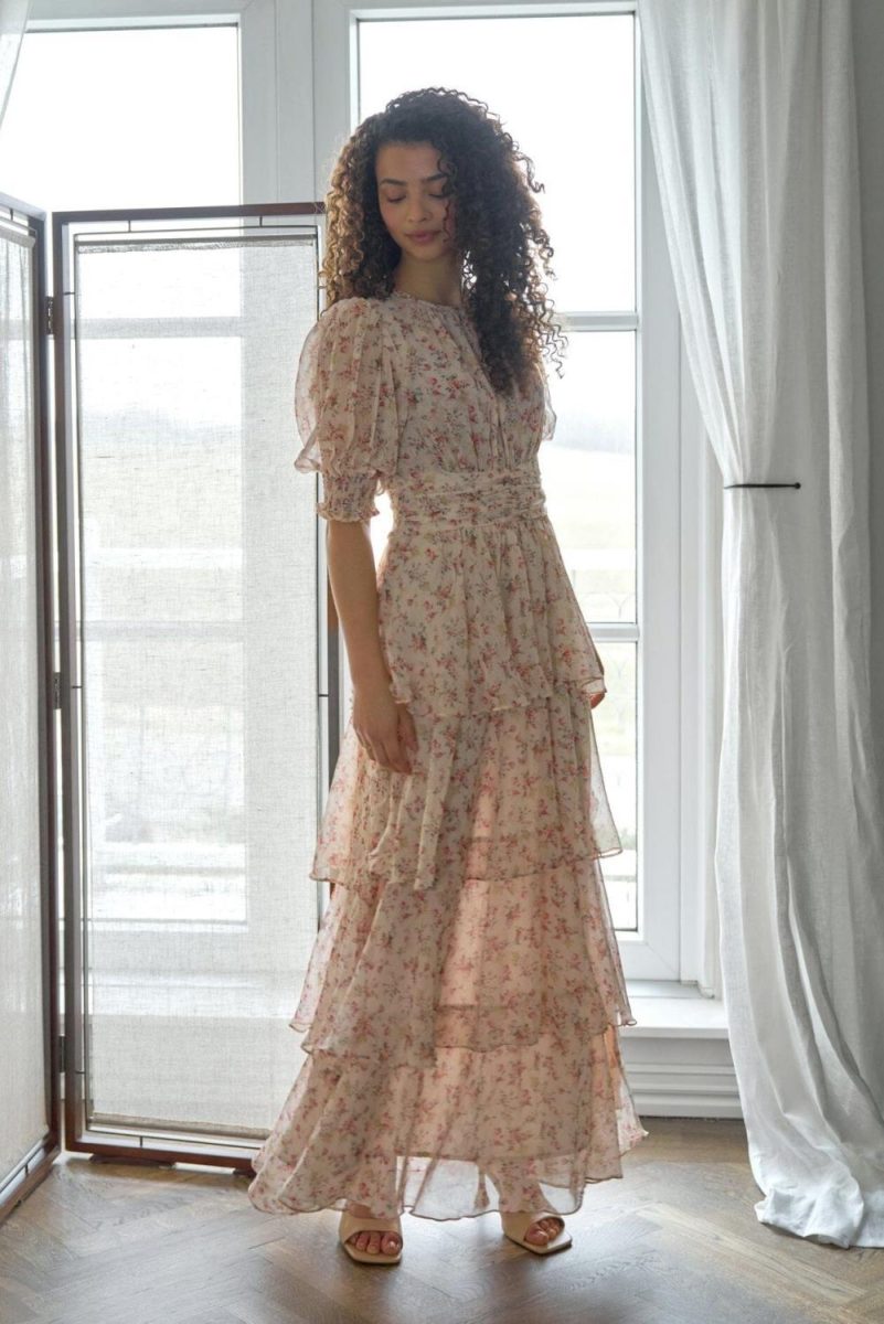 Sable Meadow Printed Dress