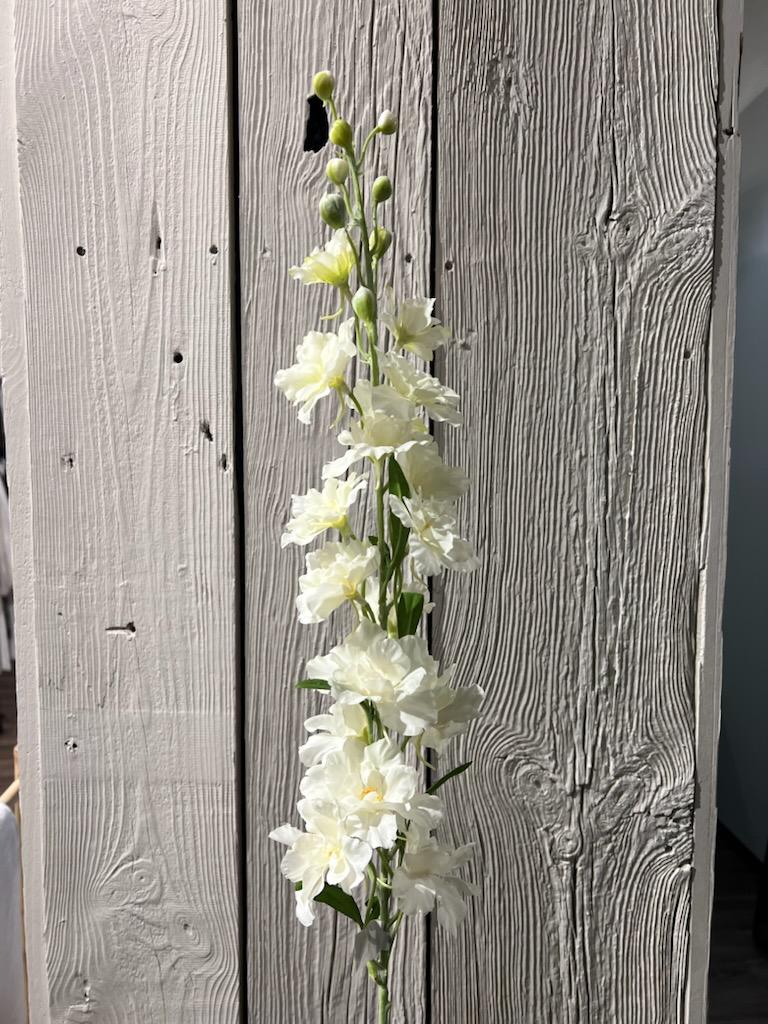 Delphinium Hvit 90 cm