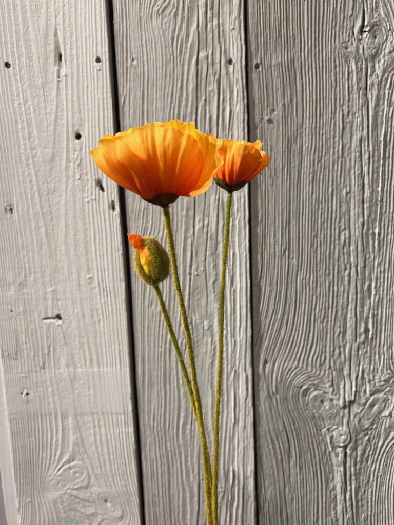 Valmue Orange 75 cm