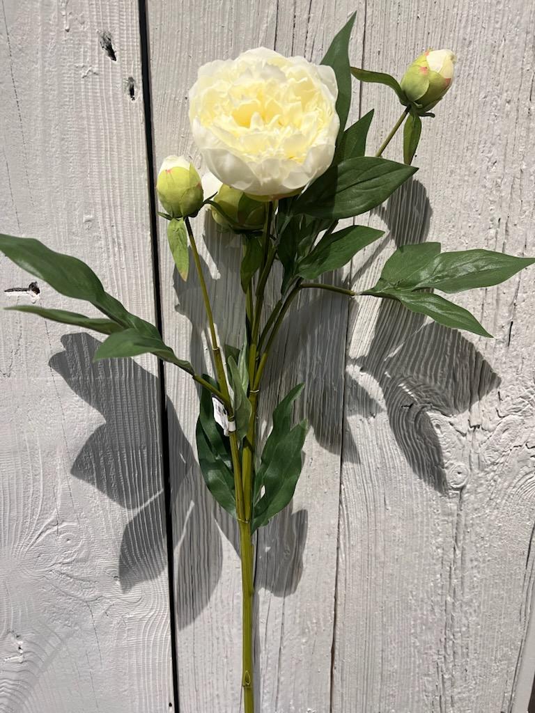 Blomst - Peon 70cm