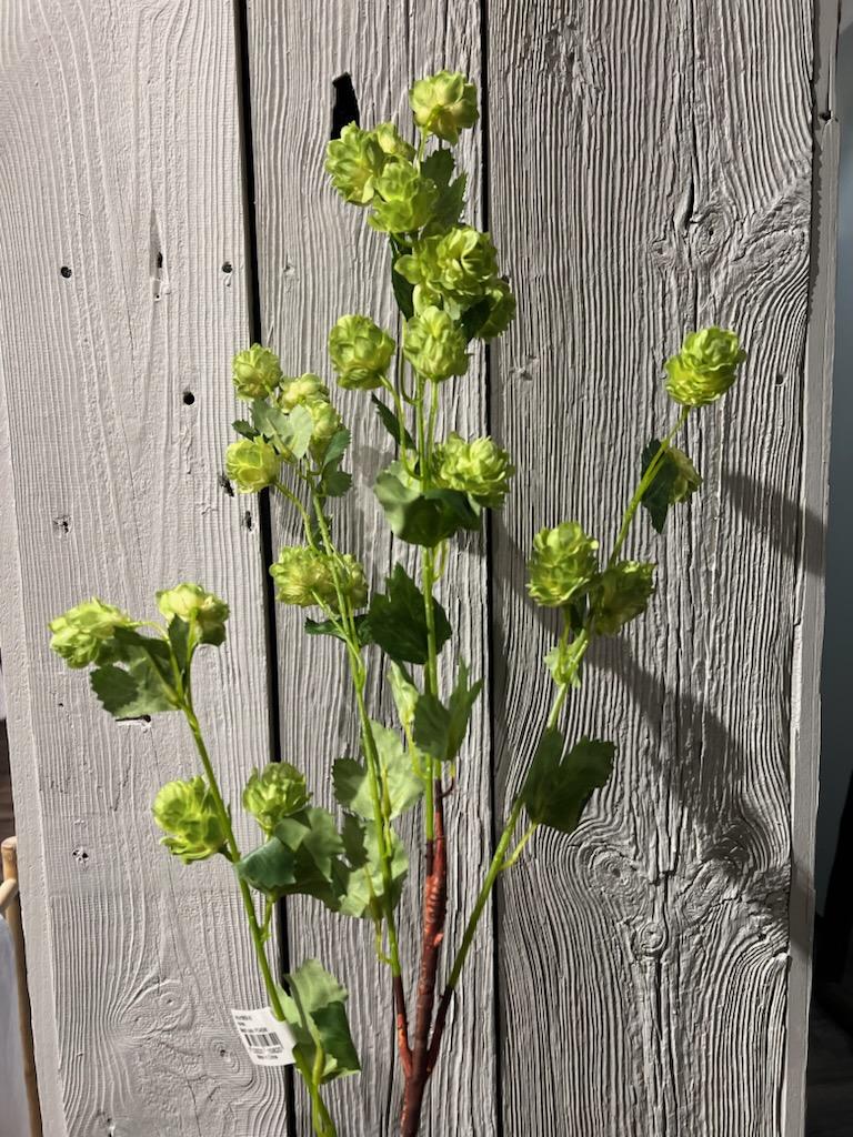 Humle 80 cm