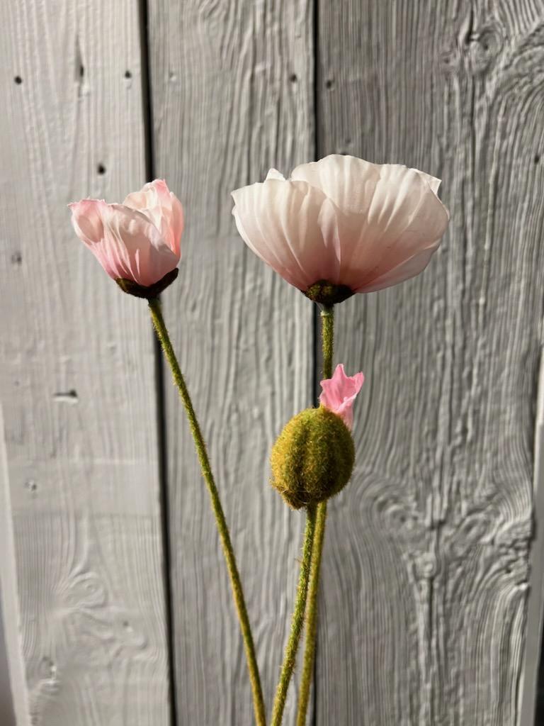 Valmue Rosa 75 cm