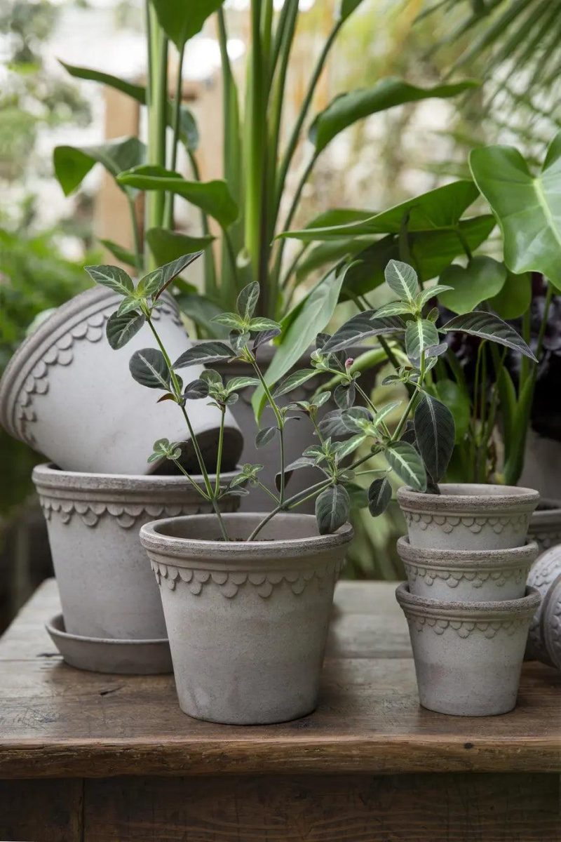 Potte - Københavner m/skål Grey 21 cm