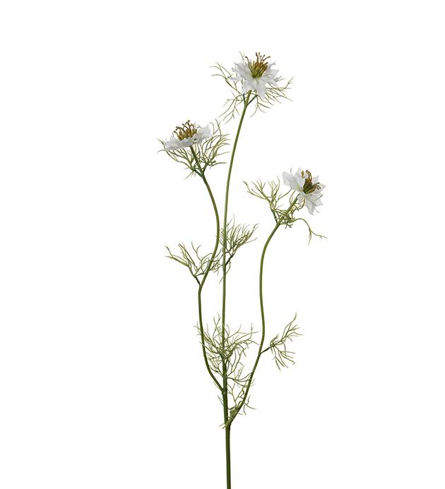 Nigella 60 cm hvit