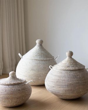 Alibabakurv fra Senegal M
