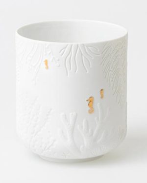 Lantern seahorse