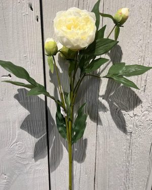 Blomst - Peon 70cm