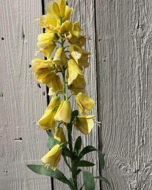 Fritillaria Gul 88 cm