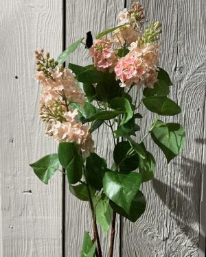 Syrin Hortensia Rosa 100 cm