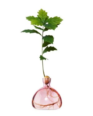 Acorn Vase Rose Pink