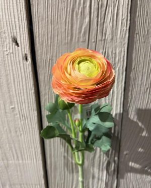 Ranuncel Orange 50cm
