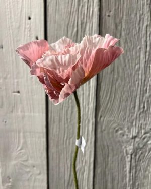 Stilk - Valmue Rosa 75 cm