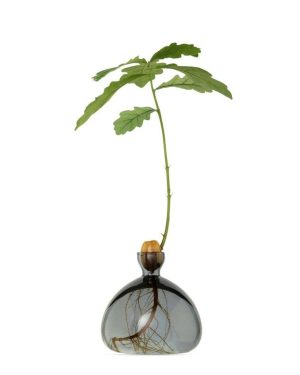Acorn Vase Smoke Grey