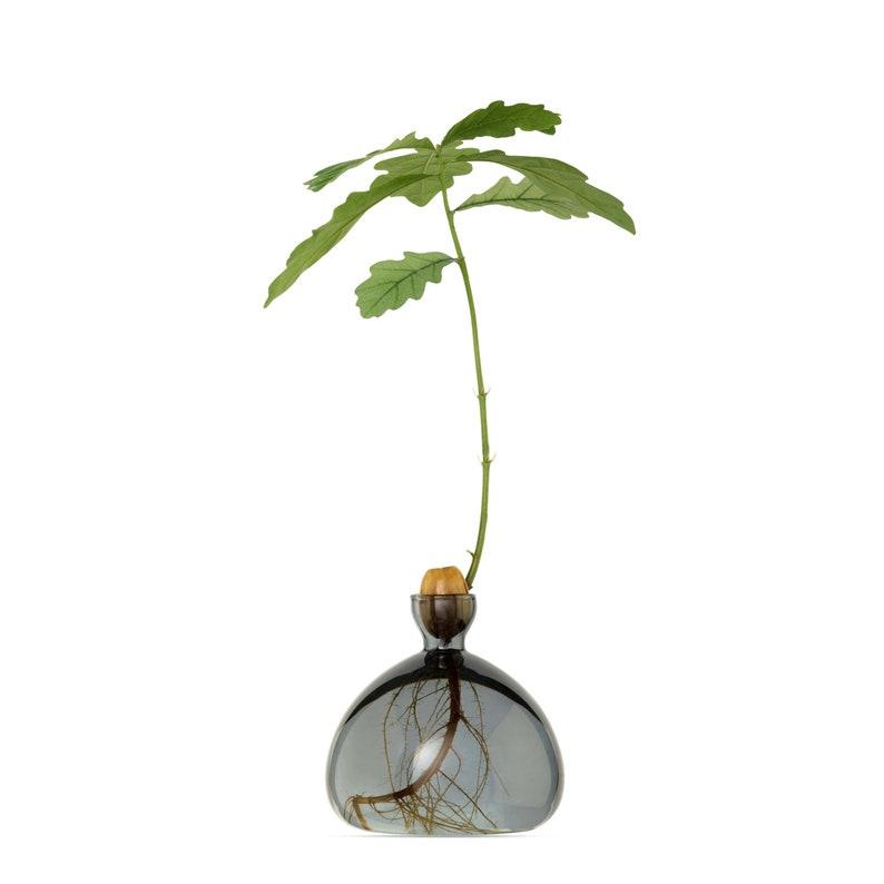 Acorn Vase Smoke Grey