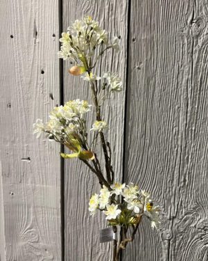 Lønneblomst Hvit 70 Cm