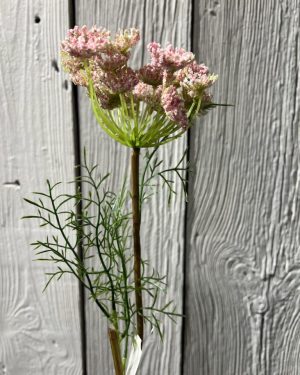 Vildermorot Rosa 65 cm
