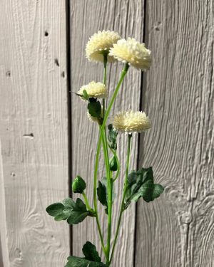 Chrysanthemum Hvit - 60 cm